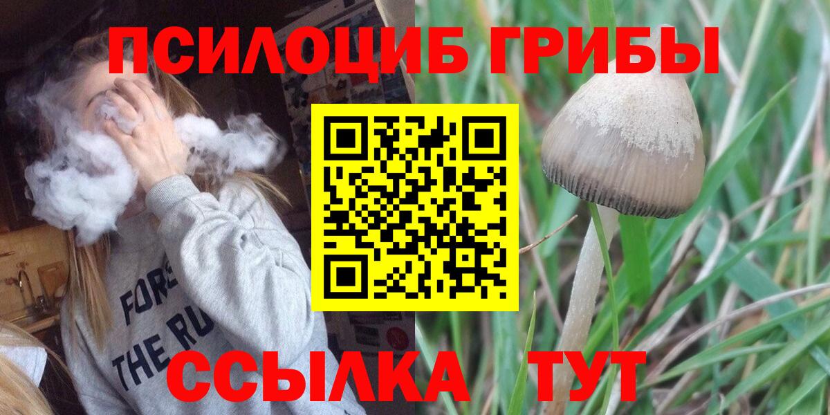 наркошоп  Вход с VPN  Кимовск  Галлюциногенные грибы мухоморы 