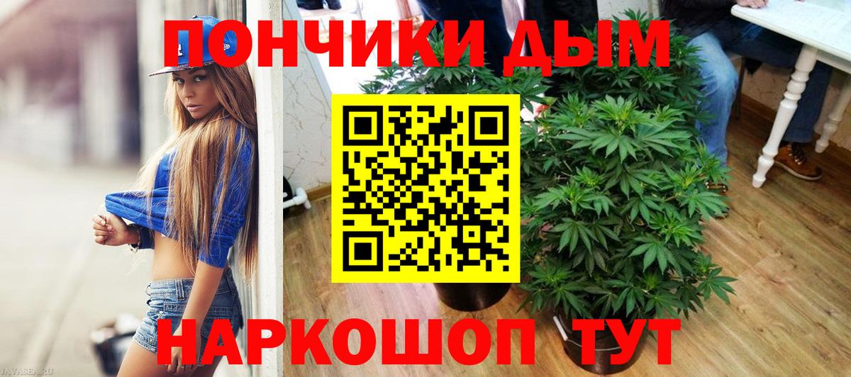 Бошки Шишки White Widow  Бошки Шишки сатива  Вход с VPN  Кимовск  Бошки марихуана планчик  Конопля марихуана 